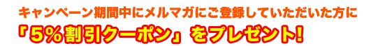 5%割引クーポンをプレゼント!
